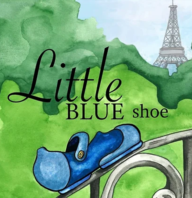 Little_Blue_Shoe_cover_